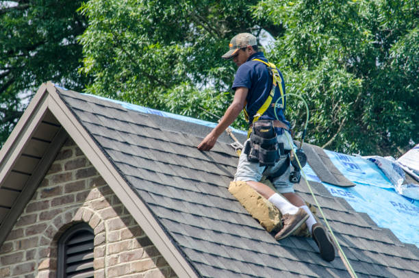 Professional Roofing Contractor in Lindon, UT